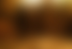 Фотография квеста Упавшее небо от компании Шерлок (Фото 2)