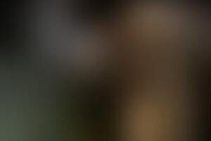 Фотография экшн-игры Тайна форта от компании Victory Quest (Фото 1)