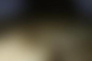 Фотография экшн-игры Тайна форта от компании Victory Quest (Фото 4)