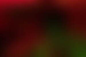 Фотография перформанса Джек-потрошитель от компании Екб квест (Фото 5)