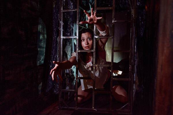 Фотография перформанса «Псарня»