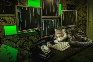 Фотография квеста Матрица. Перезагрузка от компании Авантюра (Фото 4)