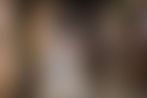 Фотография квеста В поисках Гулливера от компании Клаустрофобия (Фото 3)