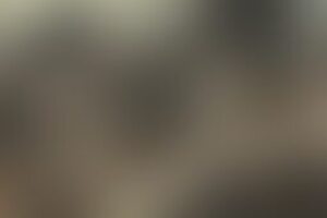 Фотография квеста-анимации Зомби-апокалипсис от компании Море чудес (Фото 1)