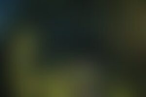Фотография квеста-анимации Спасение миньонов от компании Место пряток (Фото 1)