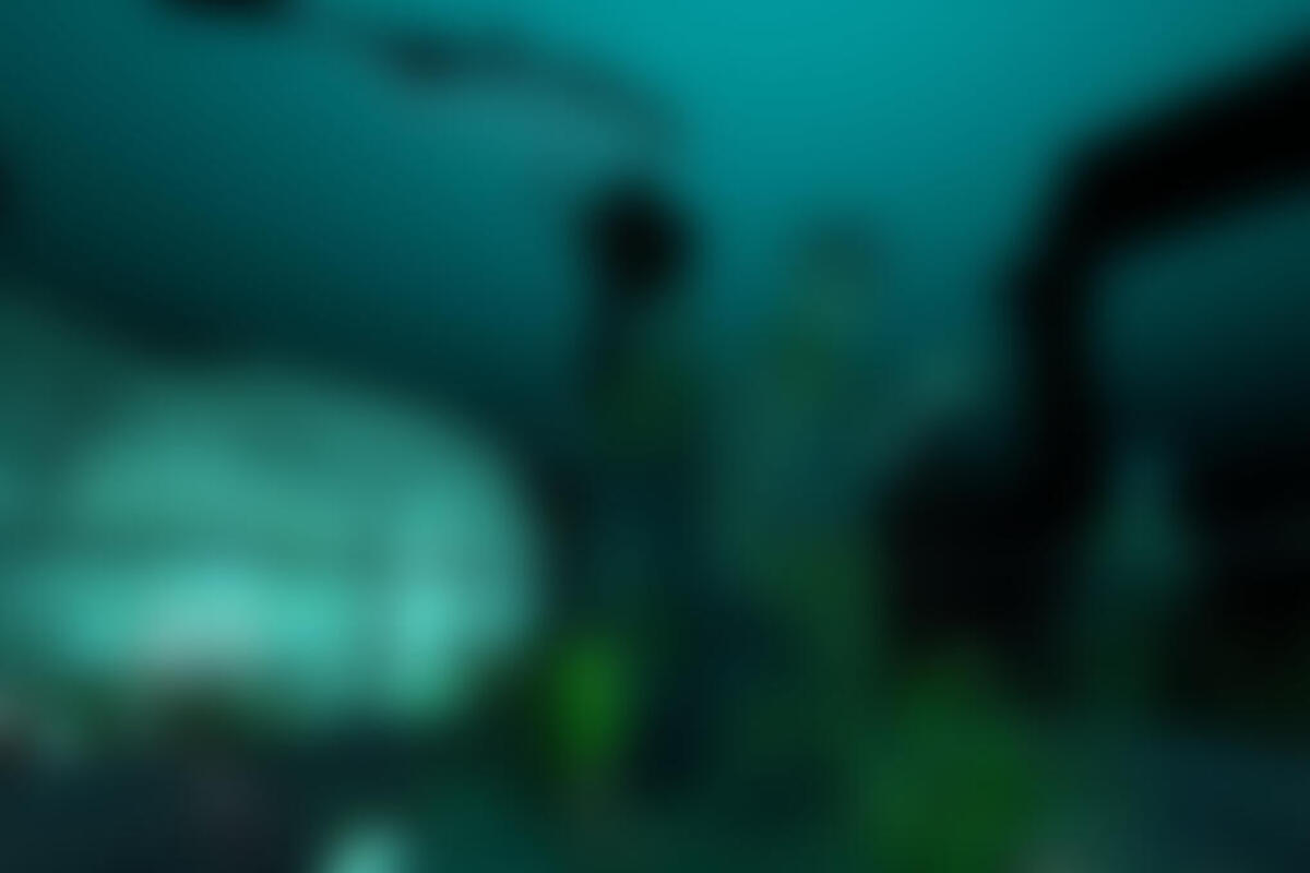 Фотография VR-квеста Подводная одиссея от компании VR Play (Фото 1)
