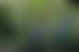 Фотография квеста-анимации Джуманджи от компании Море чудес (Фото 1)