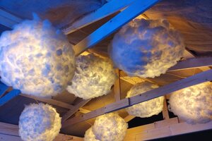 Фотография квеста-анимации Стать ниндзя от компании Stars (Фото 1)