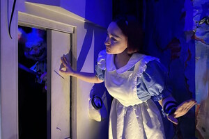 Фотография перформанса Зазеркалье: разбитая история от компании Точка квестов (Фото 2)