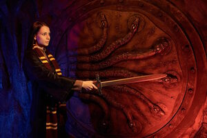 Фотография квеста Гарри и тайная комната от компании Локап (Фото 3)