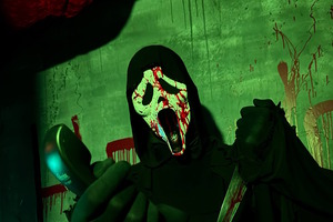 Фотография перформанса Крик. Подражатели от компании Дом страхов (Фото 2)