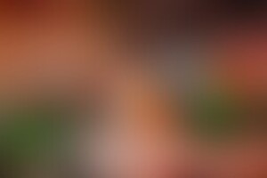 Фотография квеста Delete3701 от компании Delete (Фото 3)