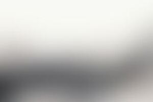 Фотография перформанса Страшный сон от компании Приют "Безысходность" (Фото 1)