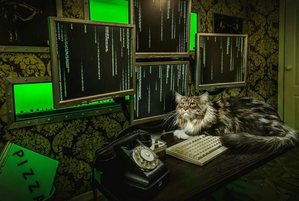 Фотография квеста Матрица. Перезагрузка от компании Авантюра (Фото 4)